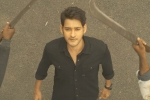 Sarileru Neekevvaru response, Mahesh Babu, mahesh babu s sarileru neekevvaru trailer review, Sarileru neekevvaru trailer