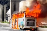 Thailand Bus Crash news, Thailand Bus Crash breaking news, thailand bus crash almost 25 children feared dead, Sora