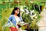 nris in farming, kerala, this nri in qatar keen on farming is going green, B m kutty nris in farming, kerala, this nri in qatar keen on farming is going green, B m kutty