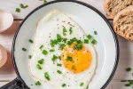 healthy, healthy, top 5 benefits of eggs that ll make you to eat them every day, World egg day