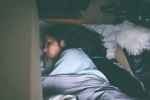 night owl, how to advance sleep time by 2 hours, are you a night owl this one trick can help advance sleep time by 2 hours, Turner