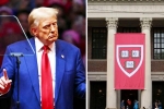 Donald Trump breaking updates, Donald Trump updates, trump demands 1 billion as damages from harvard university, Nia