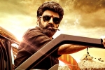 Veera Simha Reddy Sankranthi box-office, Veera Simha Reddy, veera simha reddy sankranthi weekend collections, Veera simha reddy