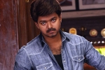 Vijay Jawan updates, Atlee, vijay in a cameo, Gauri khan Vijay Jawan updates, Atlee, vijay in a cameo, Gauri khan