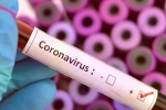 Vaccine for coronavirus, Vaccine for coronavirus, who warns covid 19 may never go away then what s the future of the world, Beaches