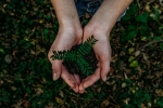 world earth day, recycle, what can you do to save earth, Plant based diet