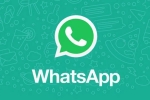 WhatsApp, WhatsApp Native iPad App release, whatsapp s native ipad app to release soon, Tiktok