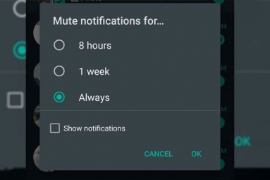 WhatsApp to bring 'always mute' option for chats on Android