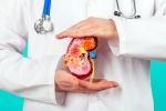 Kidney Health experts, Kidney Health fruits, top fruits that are good for kidney health, Rana