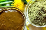 Henna, Henna colour, how henna helps for hair growth and health, Henna for hair