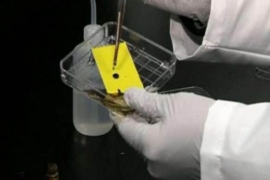 Scientists, Including Indian-origin Develop Coating that Repels Water, Oil, Alcohol Scientists, Including Indian-origin Develop Coating that Repels Water, Oil, Alcohol