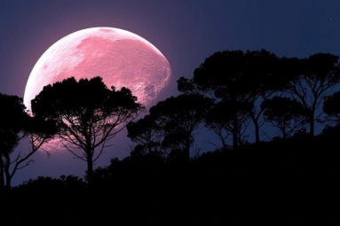 April’s Super Pink Moon To Rise Today: Biggest Of The Year April’s Super Pink Moon To Rise Today: Biggest Of The Year