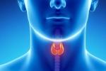 throat cancer prevention, throat cancer prevention, how to prevent throat cancer, Throat cancer types
