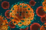 coronavirus India updates, Coronavirus India tally, 37 875 new coronavirus cases reported in india, New coronavirus