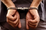 Sandhu, Sandhu, 61 year old indian origin man jailed for 5 years for smuggling foreigners including indians into america, Dominican republic
