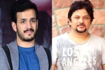Akhil Akkineni new project, Akhil Akkineni and Surendar Reddy, akhil akkineni and surendar reddy joins hands, Coronavirus lockdown