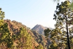 Kasauli update, Kasauli visit, amazing things to do and see in kasauli, Spot