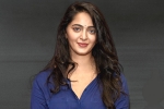 Anushka updates, Anushka next film, rrr to have a cameo of anushka, Anushka shetty