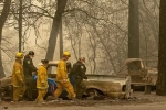 wildfire, death toll, california fire mostly contained death toll rises to 84, California fire
