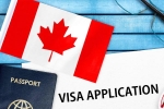 Canada's study visa approvals for Indians, Canada's study visa approvals decline, canada s study visa approvals for indian students to drop by 50 in 2024, Autumn Canada's study visa approvals for Indians, Canada's study visa approvals decline, canada s study visa approvals for indian students to drop by 50 in 2024, Autumn