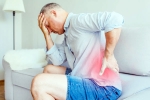 Chronic Back Pain latest, Chronic Back Pain health, simple habits to prevent and manage chronic back pain, Gym