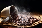 Coffee Adulteration updates, Coffee Adulteration updates, is coffee adulteration real, Rica