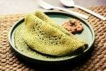 Curry Leaves Dosa videos, Curry Leaves Dosa recipe, recipe curry leaves dosa, Masala