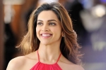 Films in Hollywood for Deepika, Deepika Confirms No Films In Hollywood, deepika confirms no films in hollywood, Bajirao mastani