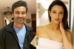 Triptii Dimri, Triptii Dimri new movie, dhanush to romance animal actress triptii dimri, Gangster