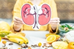 Healthy Kidneys medicine, Healthy Kidneys medicine, food items to include in your diet for healthy kidneys, Recipes