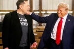 Donald Trump breaking updates, Donald Trump shares, donald trump s praise for musk s starlink, Adity