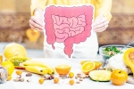 Better Gut Health latest, Better Gut Health, quick and easy drinks for better gut health, Health drink
