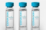 EUL for Covaxin breaking updates, WHO, who delays the eul decision on covaxin, Astrazeneca