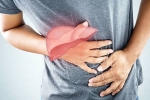 Liver Disease, Liver Disease health update, here are early signs of liver disease you should not ignore, Saurabh