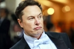 Elon Musk India visit updates, Elon Musk India visit pushed, elon musk s india visit delayed, Reduce carbon