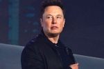 Elon Musk updates, Elon Musk new update, elon musk talks about cage fight again, Snacks