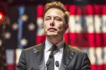 Donald Trump, Donald Trump Elon Musk relation, is elon musk in the trump cabinet, Most likely