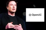 Elon Musk, Elon Musk breaking updates, elon musk offers 97 billion usd to buy openai, Openai