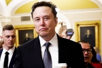 Elon Musk vs Trump Supporters, Elon Musk vs Trump Supporters news, elon musk vs trump supporters over indian immigrants, United nations