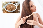 Flaxseeds breaking updates, Flaxseeds hair health, how flaxseeds can help for a long and healthy hair, Recipes