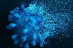 Gene Variant Coronavirus breaking updates, Gene Variant Coronavirus latest, researchers identify gene variant that protects against coronavirus, Jennifer