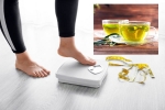 Green Tea for Weight loss, Green Tea for Weight loss recent study, can consuming green tea really help in weight loss, Skin care