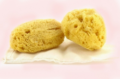 Gynecologist Warns Women Against Using Sea Sponges as 'Reusable', 'Nurturing' Alternatives to Tampons