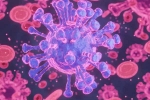 HMPV Virus case records, HMPV Virus cases, first hmpv virus case detected in india s bengaluru, Bangalore