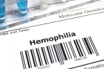 Haemophilia news, Haemophilia breaking updates, essential tips when you are travelling with haemophilia, Travelling