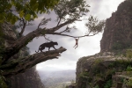 Hollywood Film Revenue In India Rises By Dubbed Versions, Hollywood Film Revenue In India, hollywood film revenue in india rises 10 percent, The jungle book