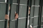 India, Indian, over 2 300 indians in u s jails for illegal crossing of border report, Punjabis