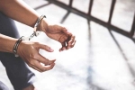 Doshi Shah USA Customs Duty Evasion, Doshi Shah USA jailed, indian man gets 30 month jail in us for customs duty evasion, New jersey