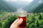 International Tea Day news, International Tea Day celebrations, international tea day 2025 facts and significance, 2020