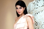 Jacqueline Fernandez controversy, Jacqueline Fernandez breaking, jacqueline fernandez files complaint against sukesh chandrashekhar, Actress jacqueline fernandez